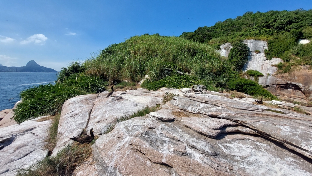 Beautiful,Pic,From,Ilhas,Tijucas,Rio,De,Janeiro