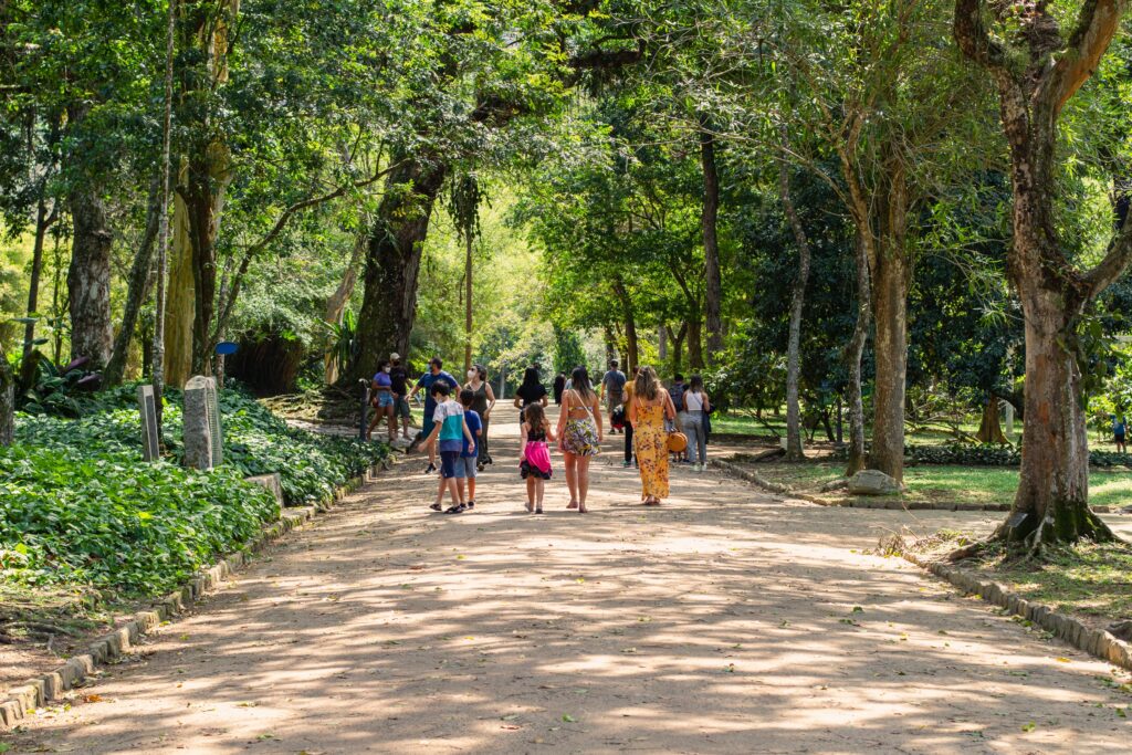 People,Walking,In,The,Park,In,A,Sunny,Day,-